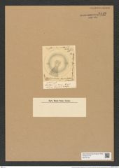 Coscinodiscus fasciculatus O'Meara (de-Toni-Nr.: Genus 202, Species 4934) Zeichnungen Sammlung Grunow Nr. 8516 (NHMW-BOT-W0378139)
